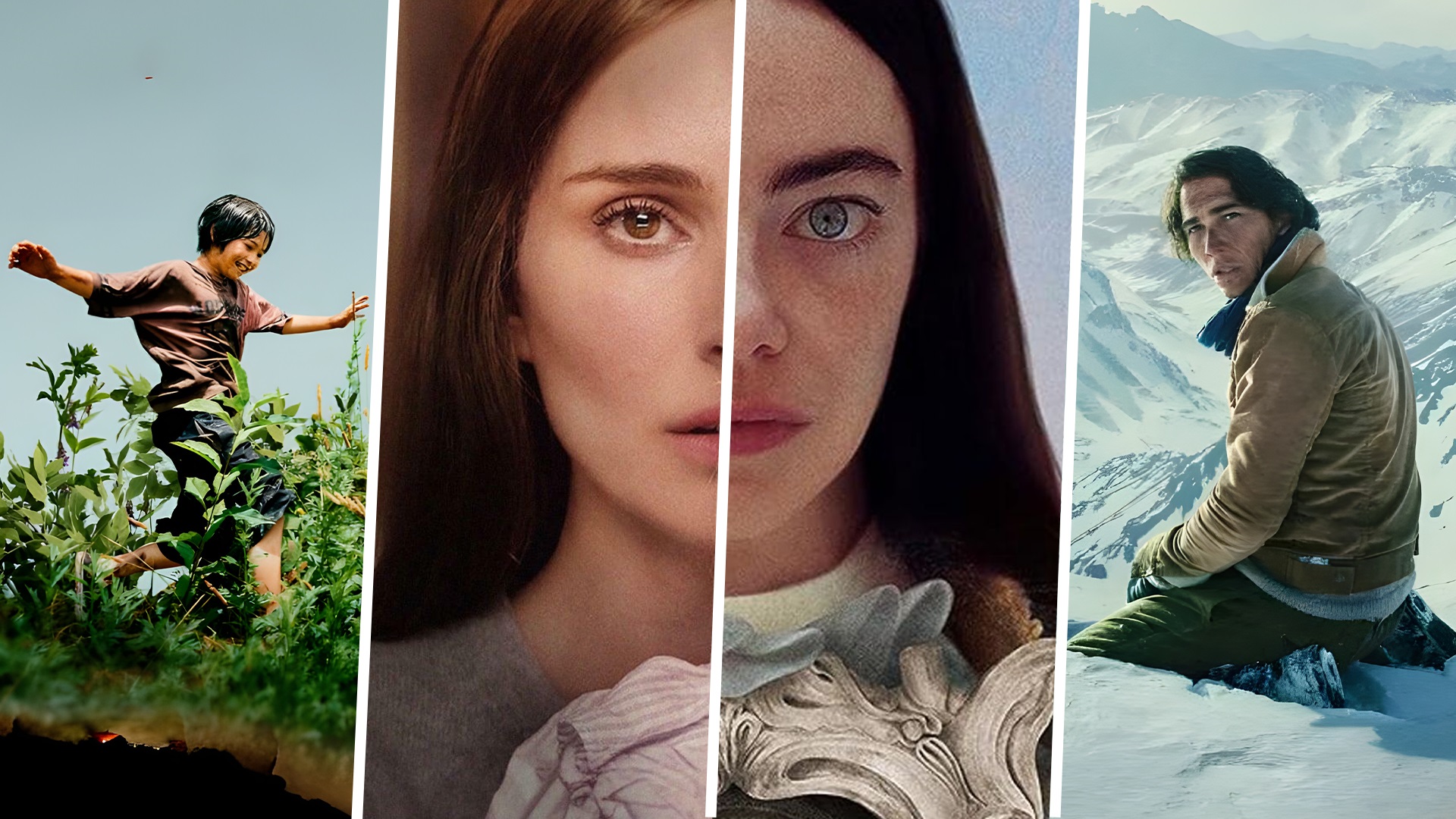 Poor things, May December, Monster, Society of the snow